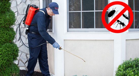 Solhan Kene İlaçlama böcek ilaçlama ve haşere kontrolü — ilaclama-tr.com